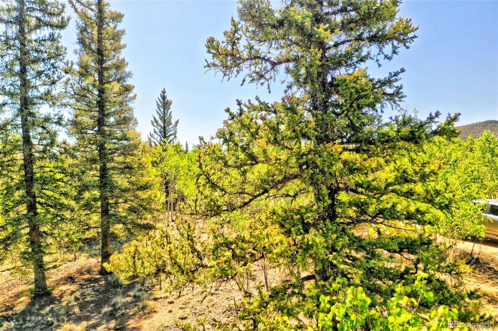 1140 Palomino Road Como, CO 80456 - Photo 24 of 27 Gallery Image 24