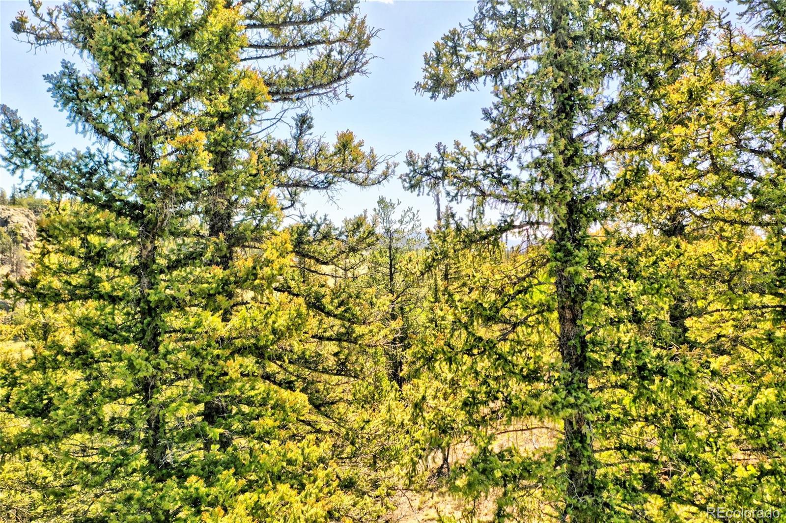1140 Palomino Road Como, CO 80456 - Photo 5 of 27 Gallery Image 5