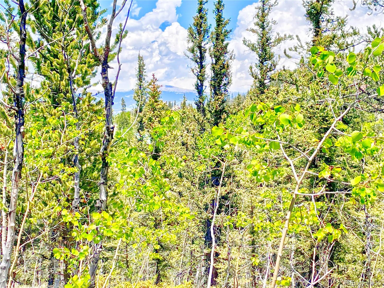 1140 Palomino Road Como, CO 80456 - Photo 7 of 27 Gallery Image 7