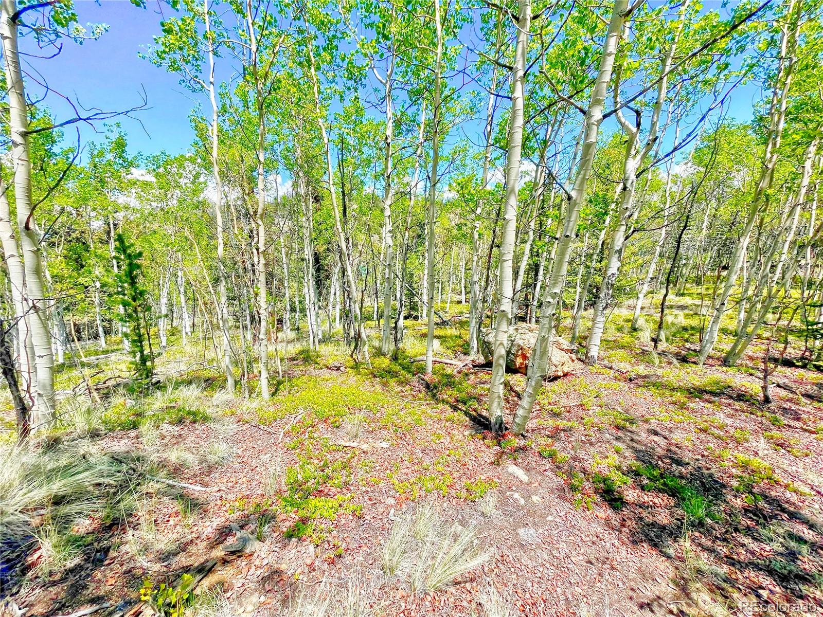 1140 Palomino Road Como, CO 80456 - Photo 8 of 27 Gallery Image 8