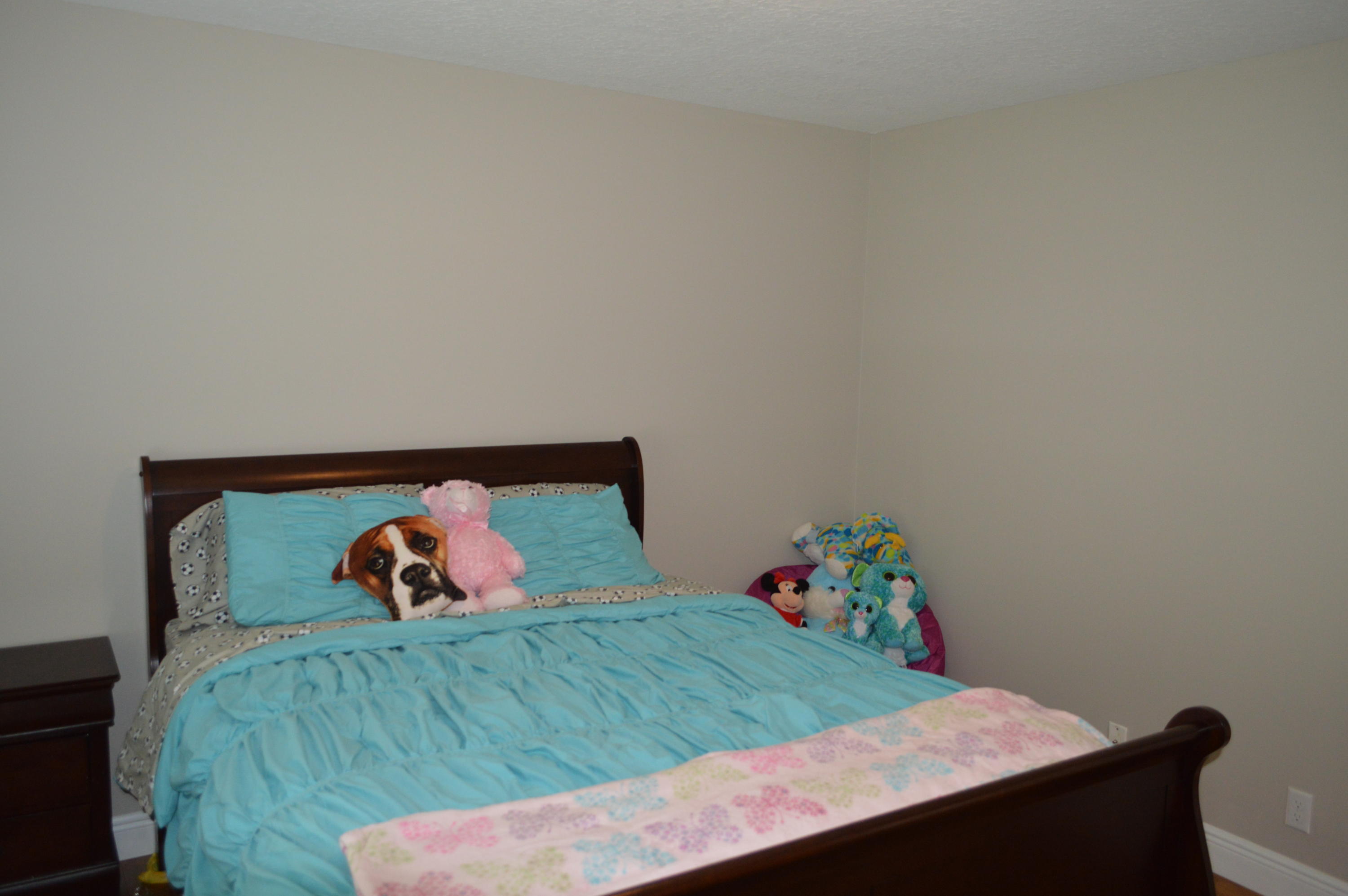 19078 Cloister Lake Lane Boca Raton, FL 33498 - Photo 36 of 75 2017-08-22 11.32.05