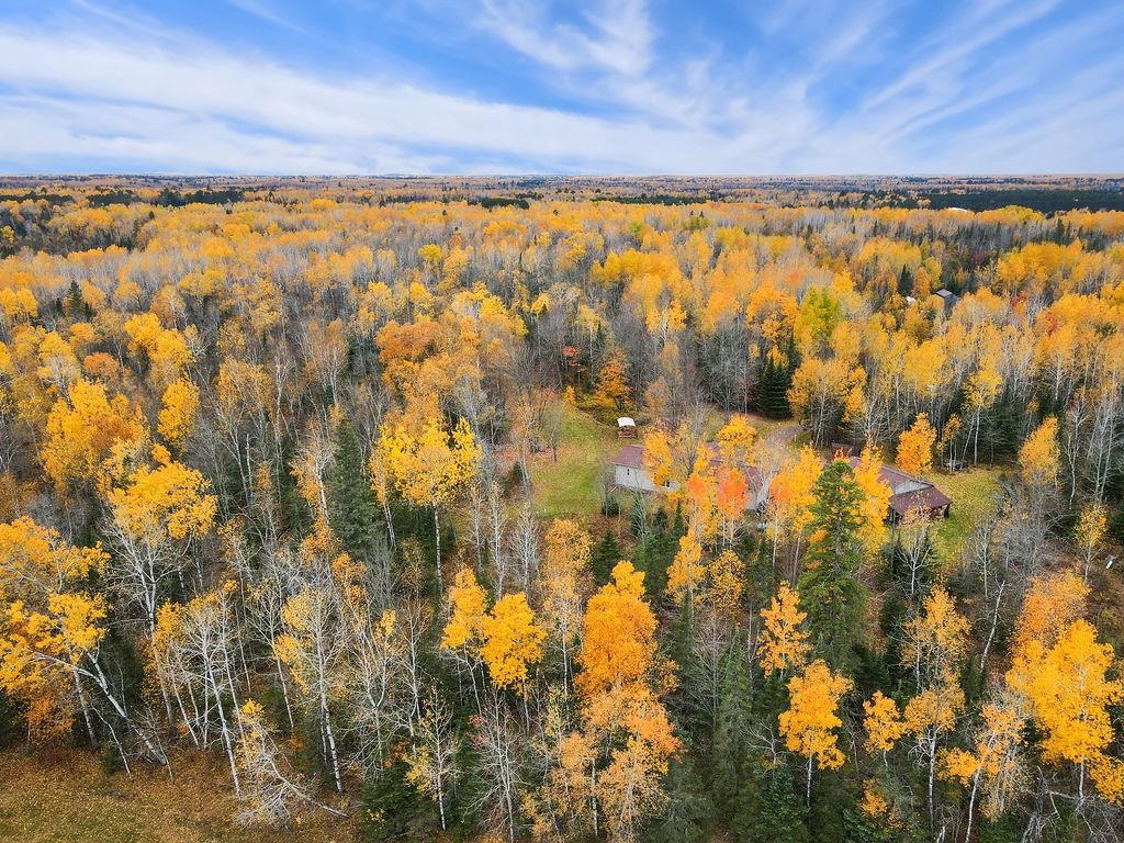 5251 Grabert Road Duluth, MN 55803 - Photo 45 of 50 Bird's eye view of a forest