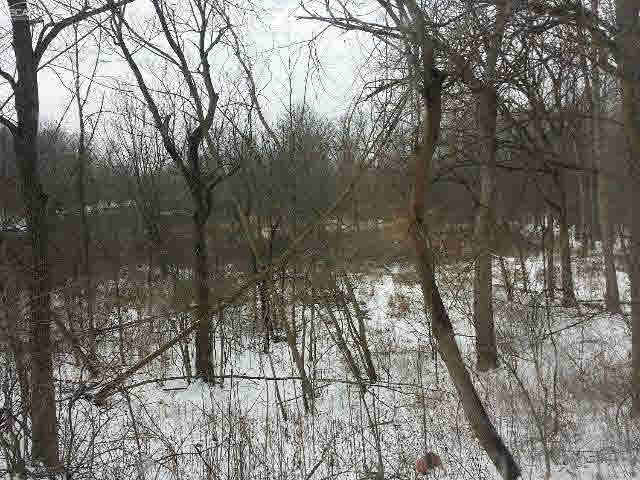 6649 Branch Road Flint, MI 48506 - Photo 31 of 34 20458142-30.JPG