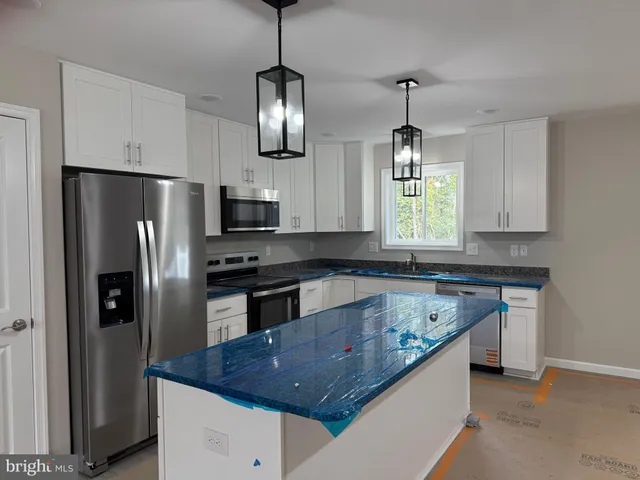 a close up of a plant