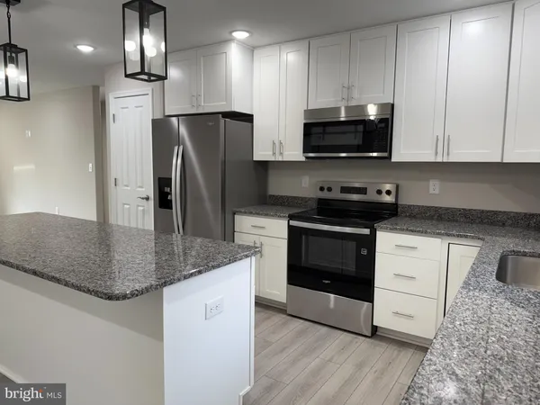 a close up of a plant