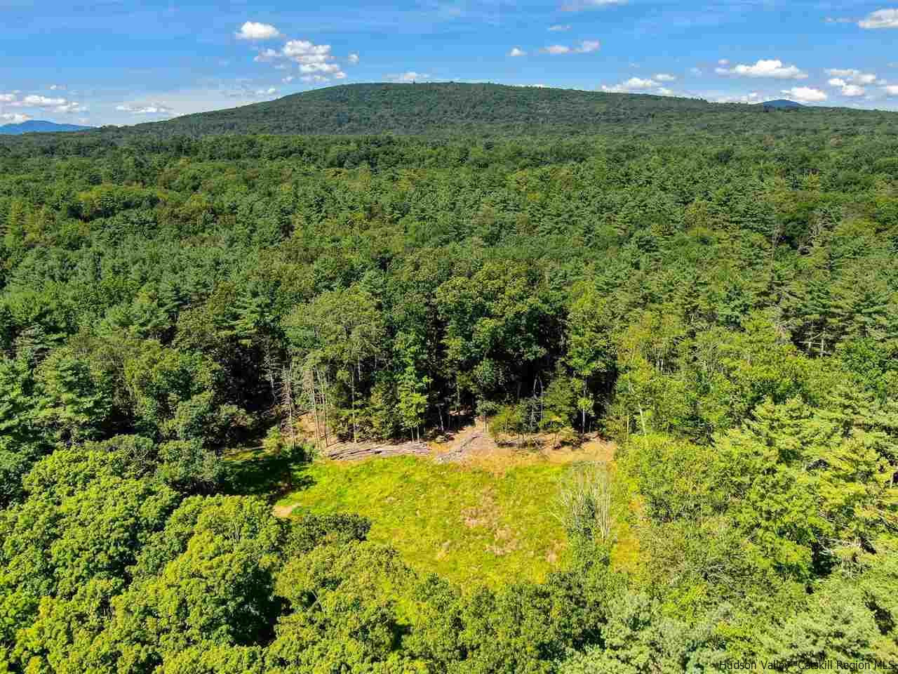 0 Tanglewood Road West Hurley, NY 12491 - Photo 11 of 22 Photo 11