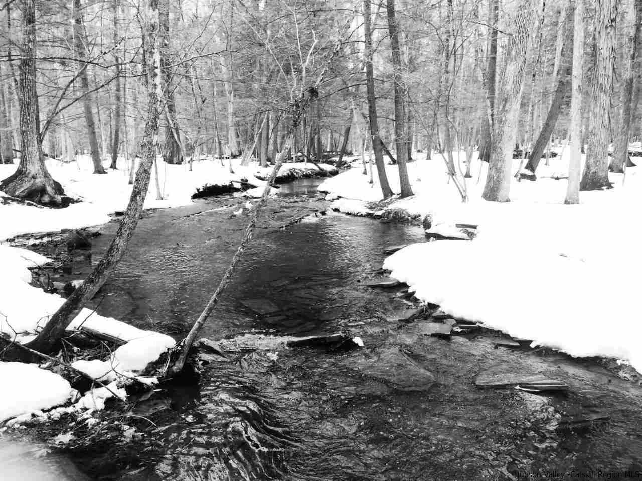 0 Tanglewood Road West Hurley, NY 12491 - Photo 12 of 22 Photo 12