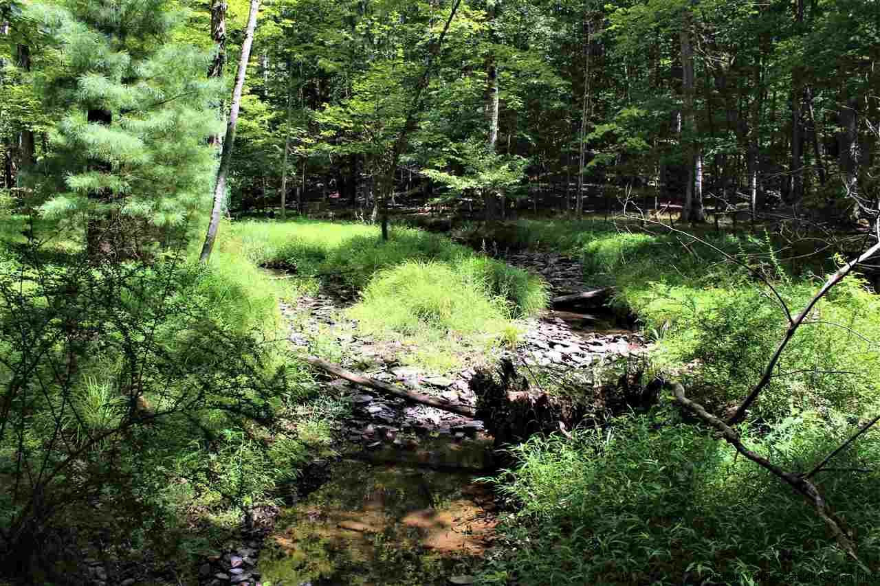 0 Tanglewood Road West Hurley, NY 12491 - Photo 18 of 22 Photo 18