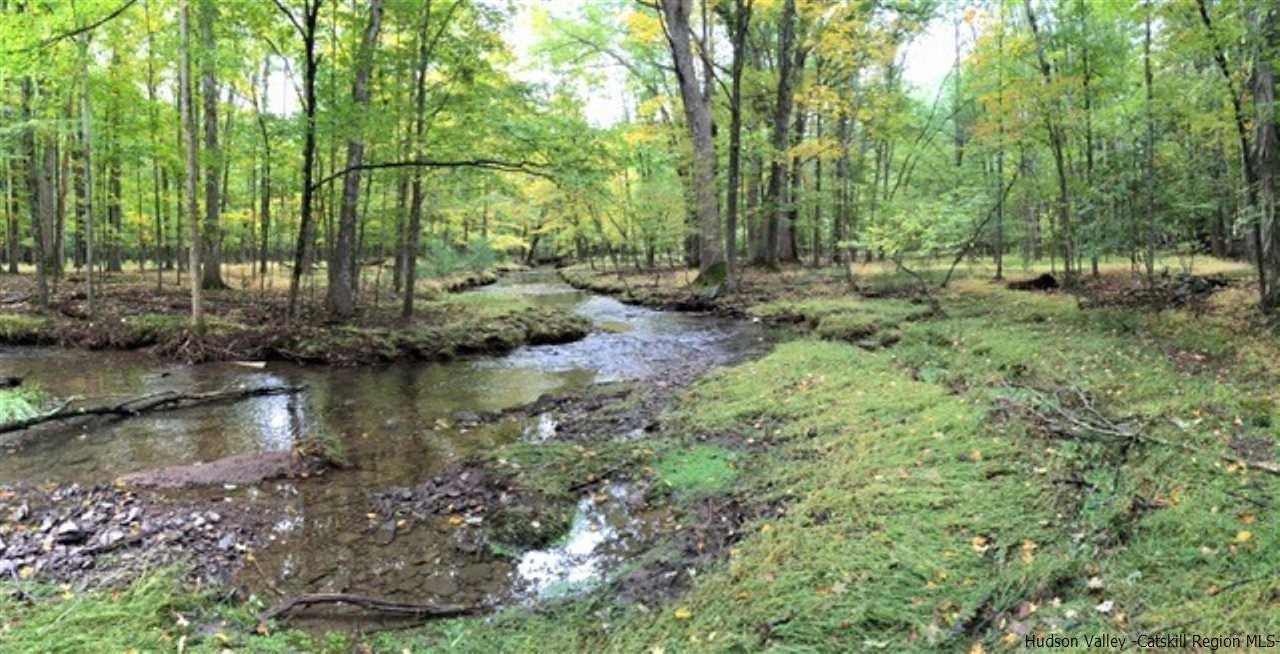 0 Tanglewood Road West Hurley, NY 12491 - Photo 2 of 22 Photo 2