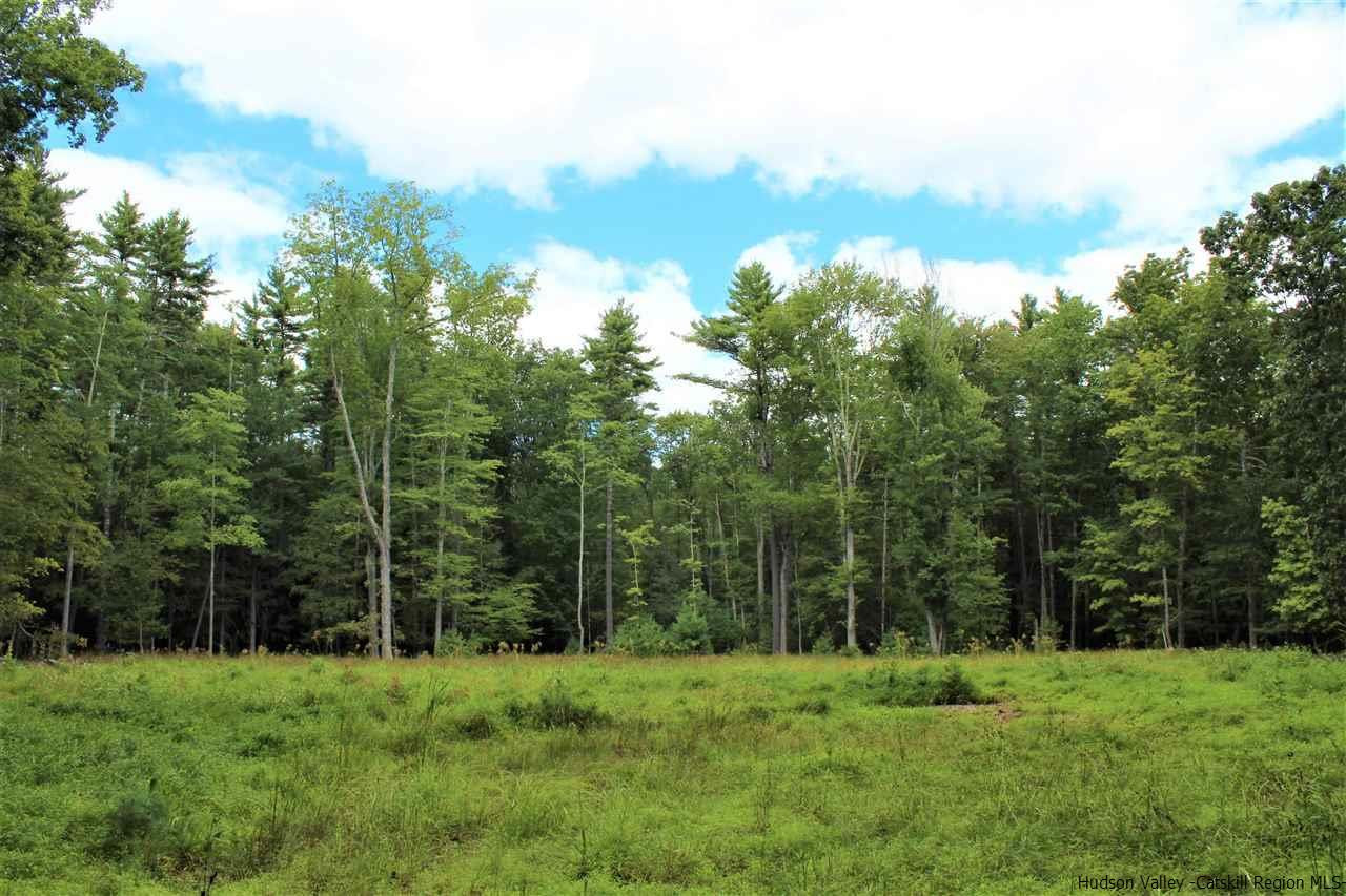 0 Tanglewood Road West Hurley, NY 12491 - Photo 4 of 22 Photo 4