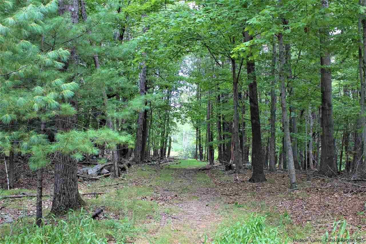 0 Tanglewood Road West Hurley, NY 12491 - Photo 7 of 22 Photo 7