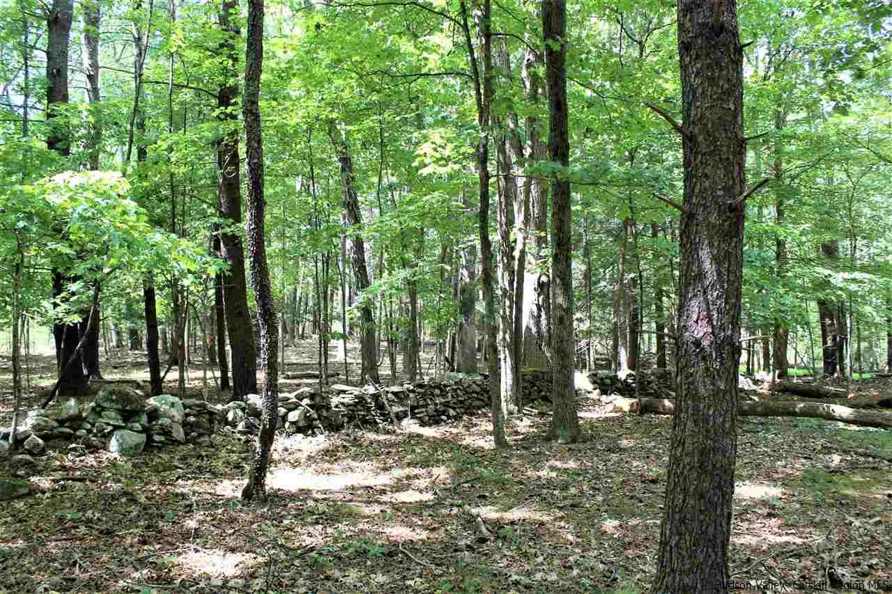 0 Tanglewood Road West Hurley, NY 12491 - Photo 8 of 22 Photo 8