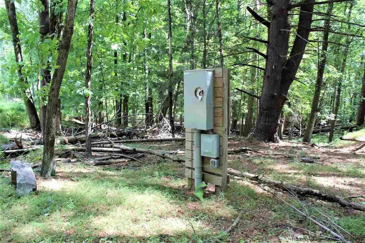0 Tanglewood Road West Hurley, NY 12491 - Photo 10 of 22 Photo 10