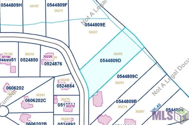 $15,000 | 30245 Jericho Drive, Albany, LA 70711