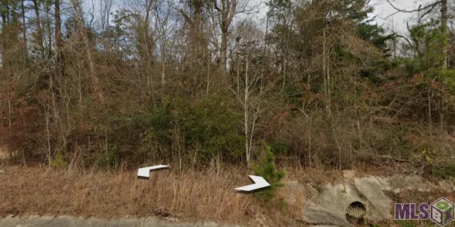 $15,000 | 30245 Jericho Drive, Albany, LA 70711