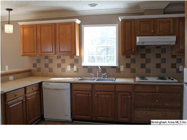 187 Forgotten Road Piedmont, AL 36272 - Photo 3 of 28