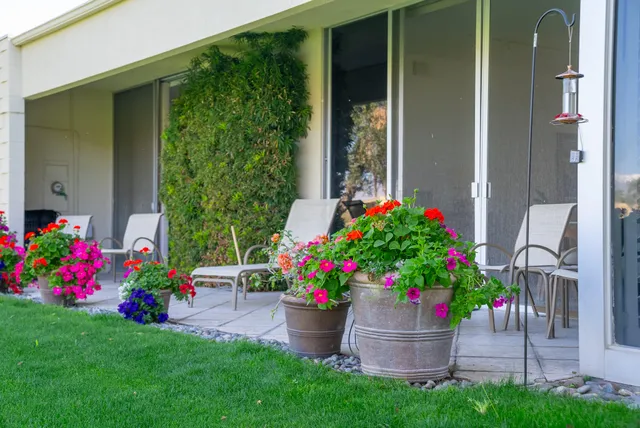 a view of a house with a big yard and potted plants