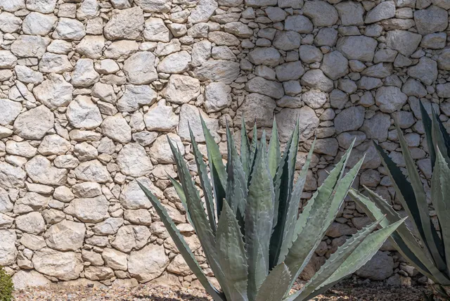 a front view of a house with swimming pool