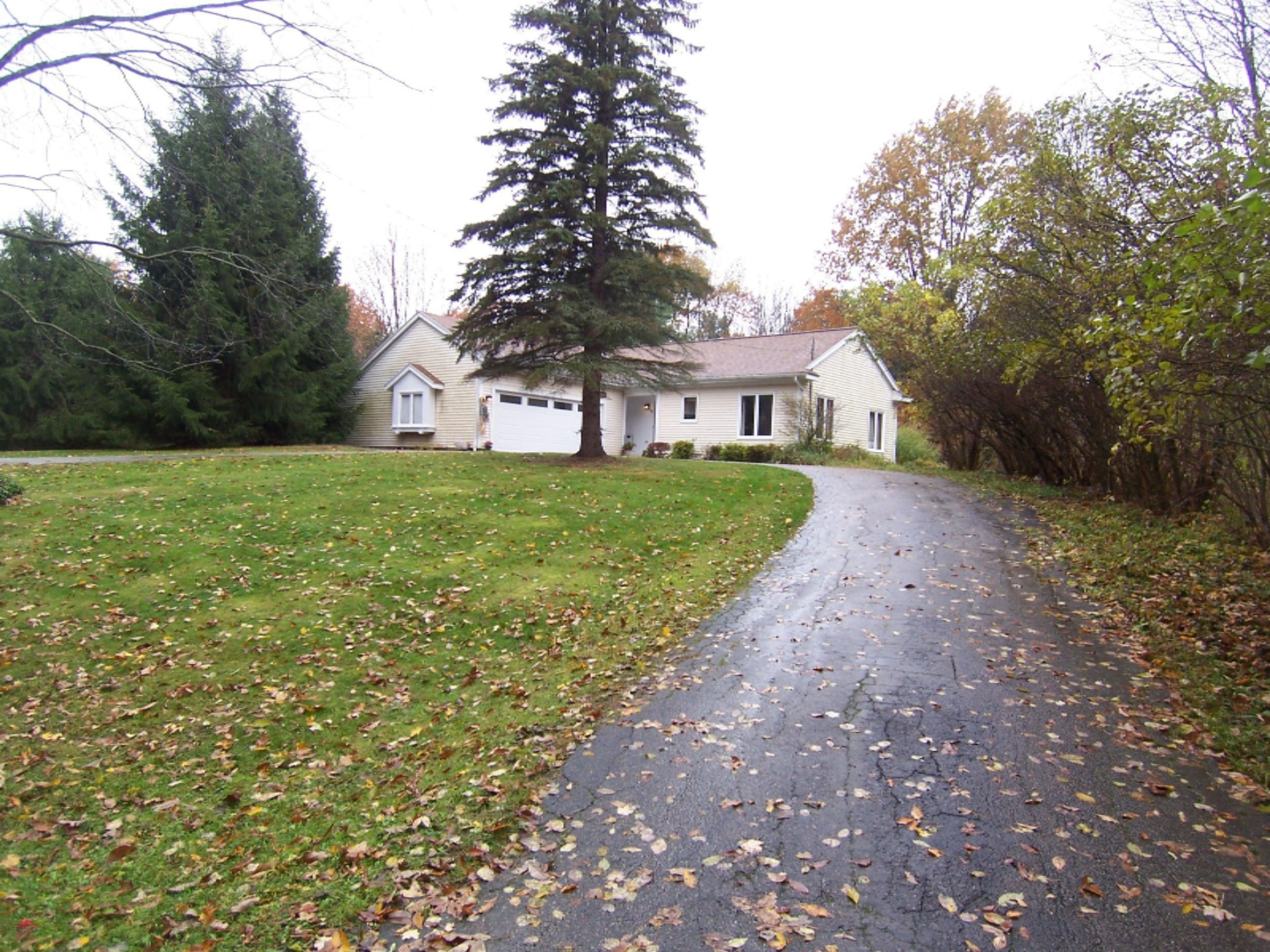 7501 Alaska Ridge Southeast Alto, MI 49302 - Photo 3 of 7 100_9908