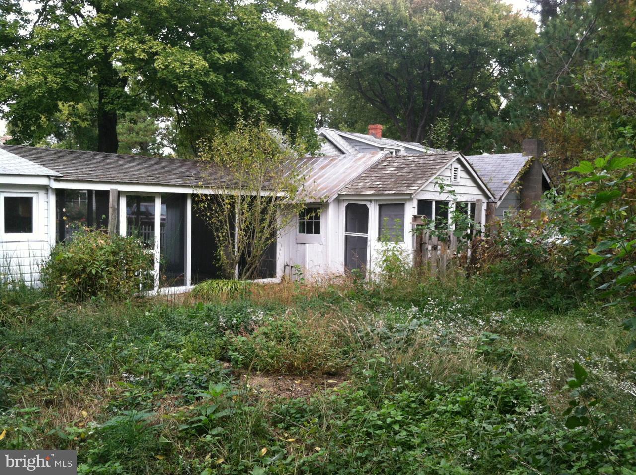 23005 Carrollton Road Neavitt, MD 21652 - Photo 2 of 21 a front view of a house with a yard and trees