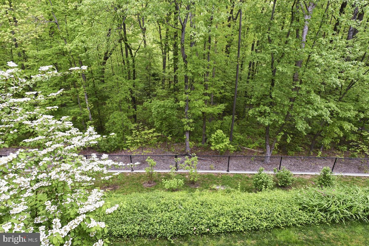 11564 Rolling Green Court, Unit 201 Reston, VA 20191 - Photo 11 of 29 Nature-Filled View from Condo