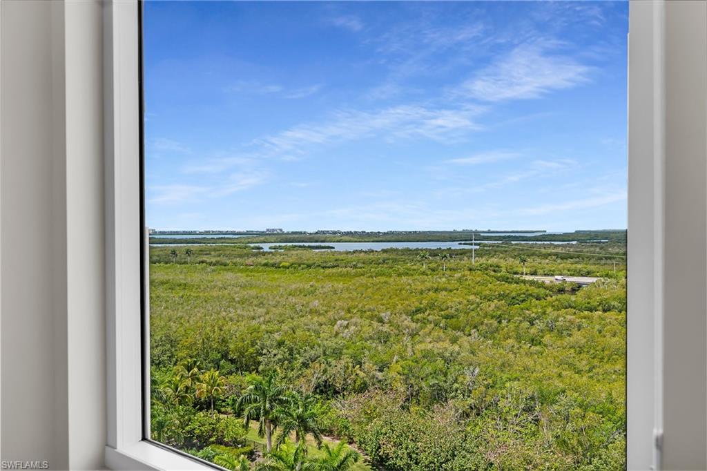 1065 Borghese Lane, Unit 1003 Naples, FL 34114 - Photo 14 of 35 a view of an ocean from a window