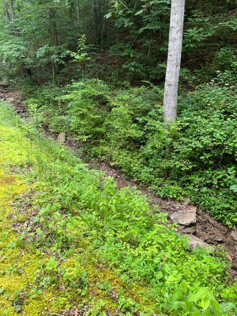 4562 Crane Creek Road, Unit PARCEL #2 Manchester, KY 40962 - Photo 10 of 18 IMG_9531