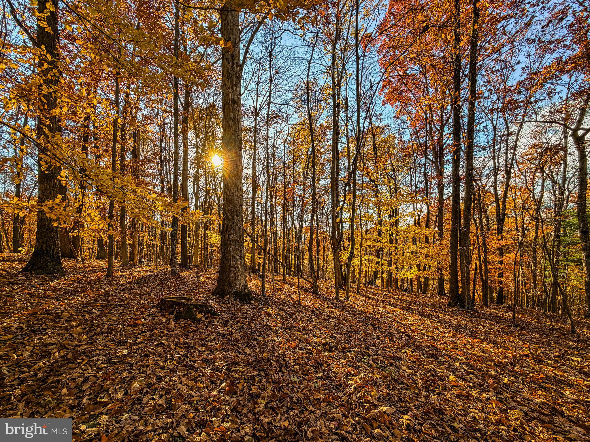 Goaway Road, Unit 2 Hedgesville, WV 25427 - Photo 13 of 19 a view of outdoor space with sliding space