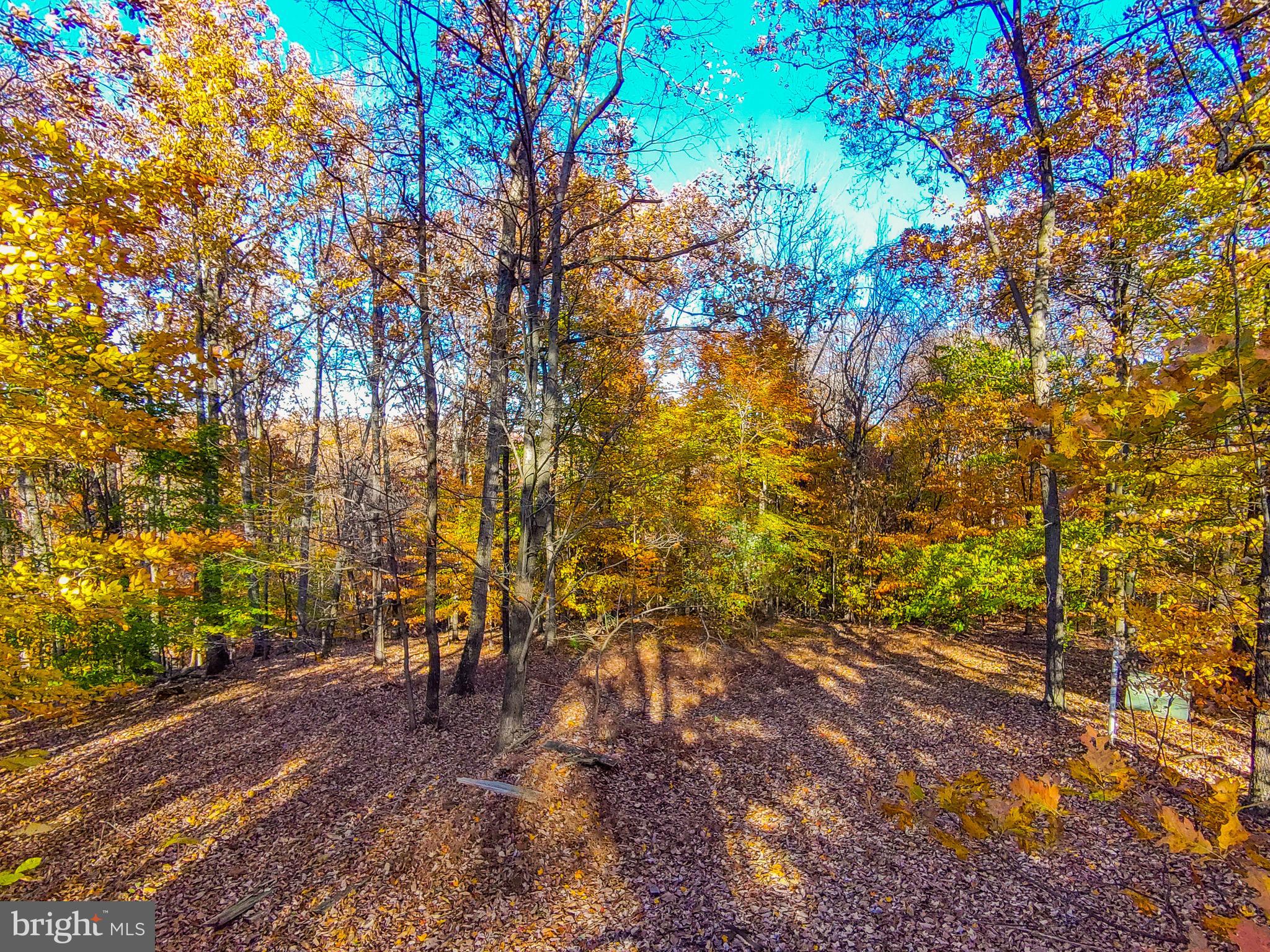 Goaway Road, Unit 2 Hedgesville, WV 25427 - Photo 18 of 19 a view of yard