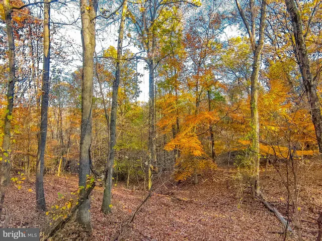 $489,000 | Goaway Road, Unit 2, Hedgesville, WV 25427