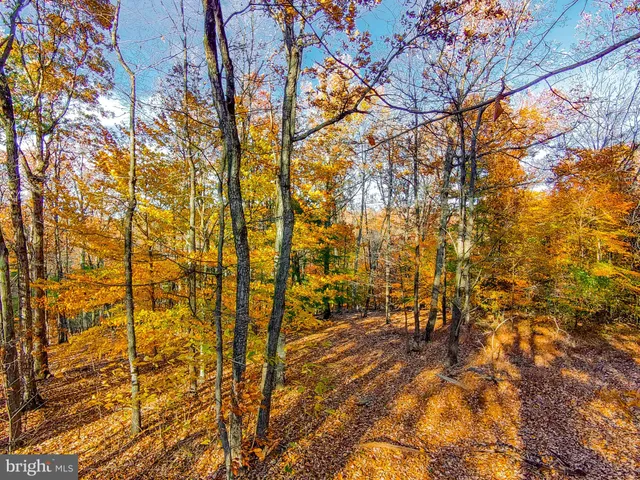 a view of yard from a building