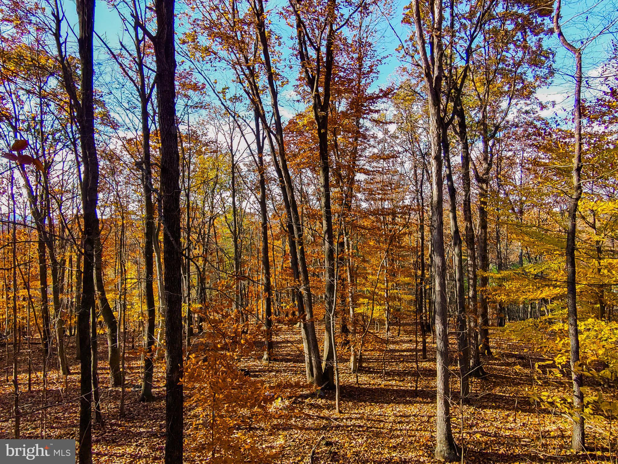 Goaway Road, Unit 2 Hedgesville, WV 25427 - Photo 7 of 19 a view of outdoor space