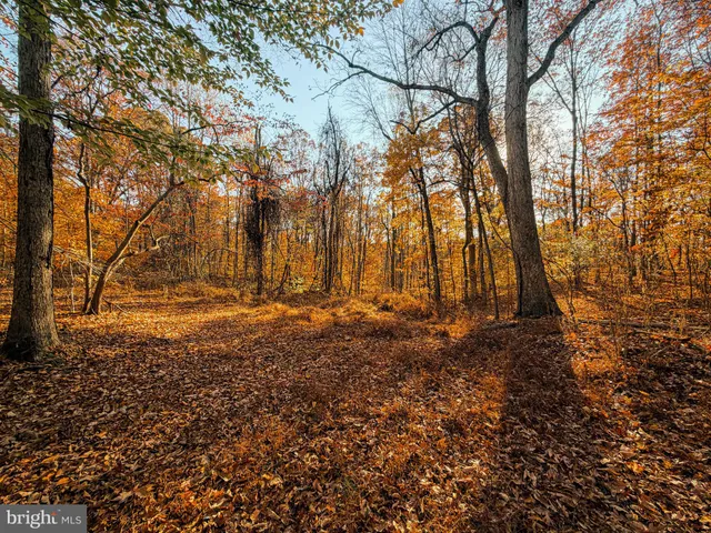 a view of backyard of building with green space