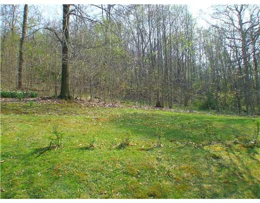 900 Lovedale Road Elizabeth, PA 15037 - Photo 13 of 15 Yard/Garden.