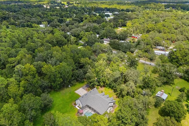 a view of a park with large trees