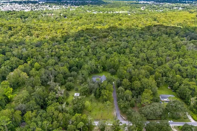 a view of a big yard with plants and large trees