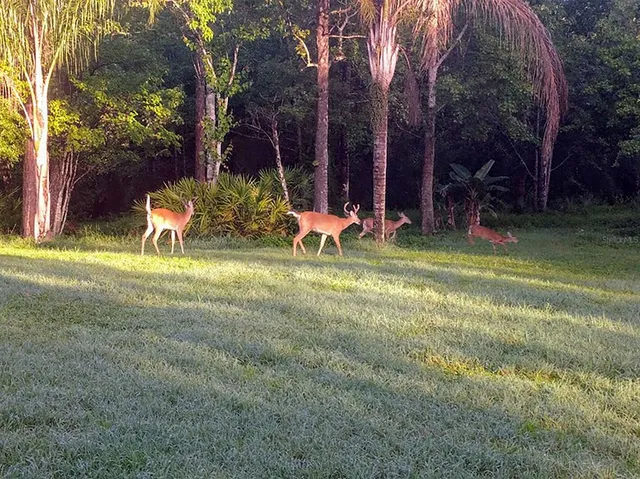 a garden view with a seating space