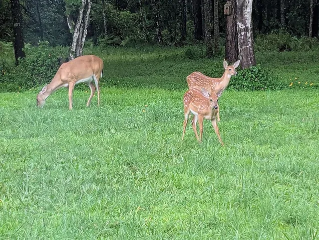 an aerial view of a house with a yard basket ball court and outdoor seating