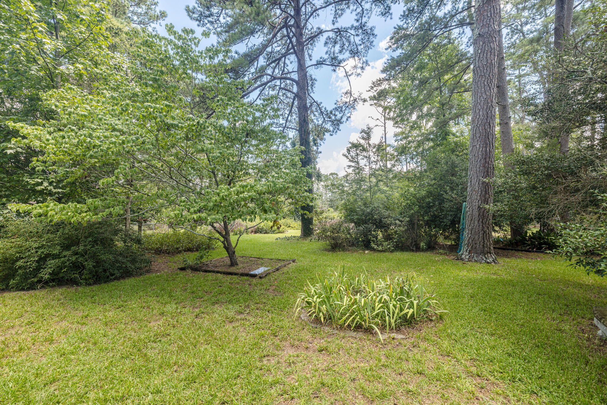 246 Anneswood Road Martinez, GA 30907 - Photo 20 of 24 SBP_7634