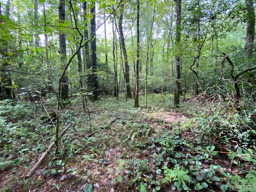 999 Lost Cove Road Clyde, NC 28721 - Photo 7 of 20 Gallery Image 7