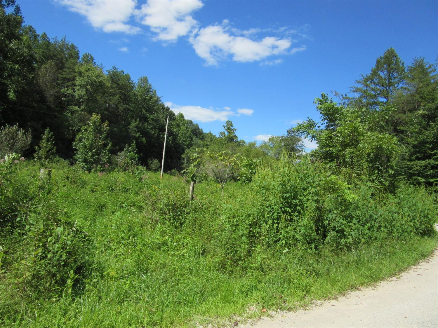 1111 Wells Road Corbin, KY 40701 - Photo 3 of 11 Photo 3