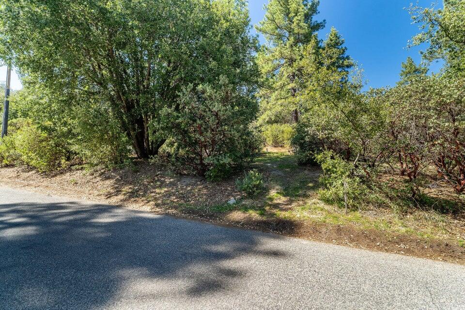 0 Deer Foot Lane Idyllwild, CA 92549 - Photo 5 of 13 a view of a yard with a tree