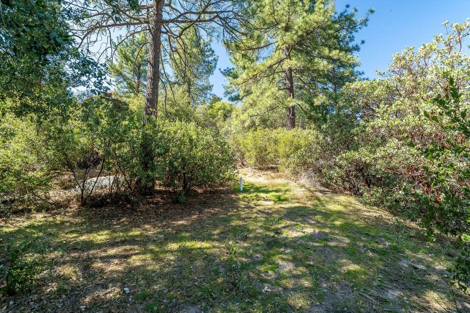 0 Deer Foot Lane Idyllwild, CA 92549 - Photo 6 of 13 a backyard of a house with lots of green space