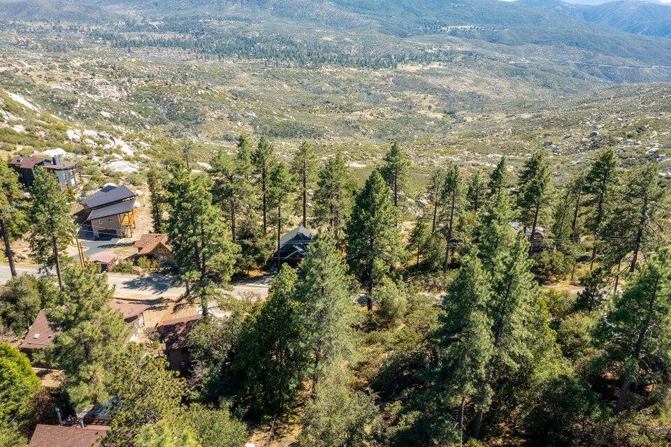 0 Deer Foot Lane Idyllwild, CA 92549 - Photo 9 of 13 a view of a yard with plants and large trees