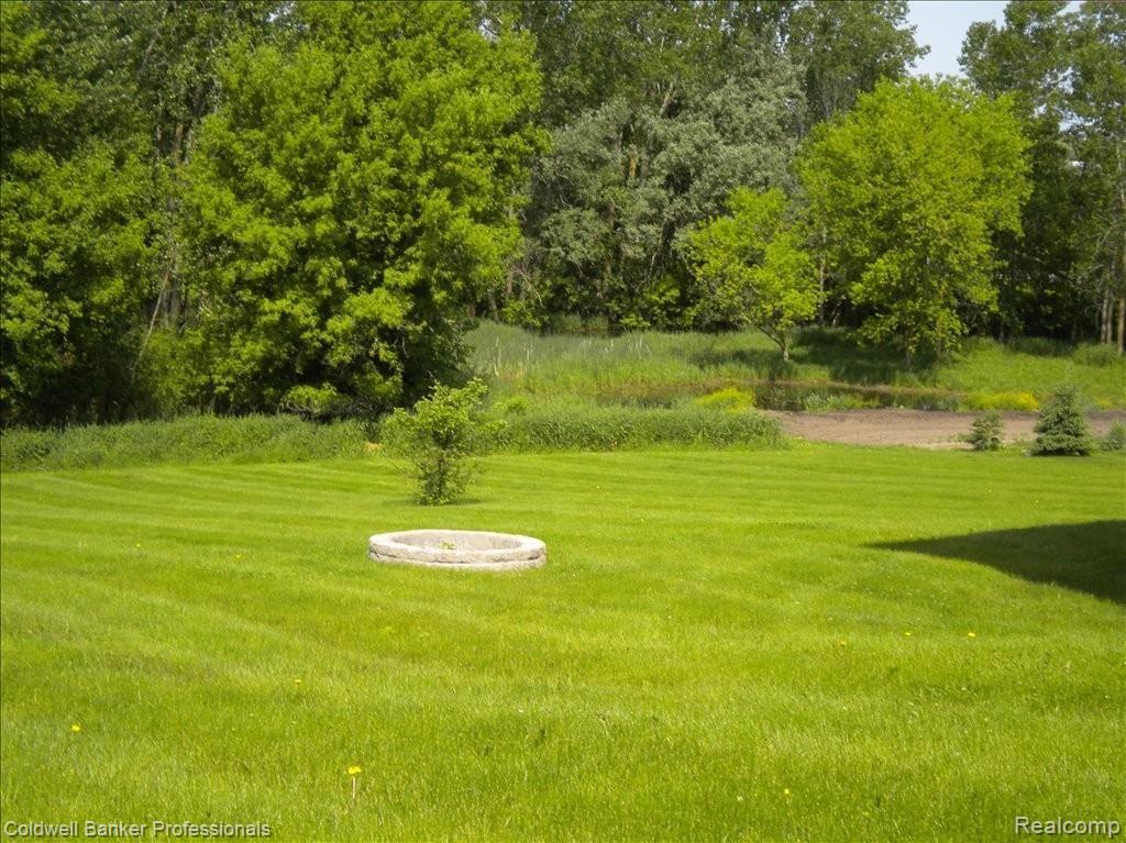 4016 Belle Ridge Drive Dryden, MI 48428 - Photo 3 of 24 Back Yard