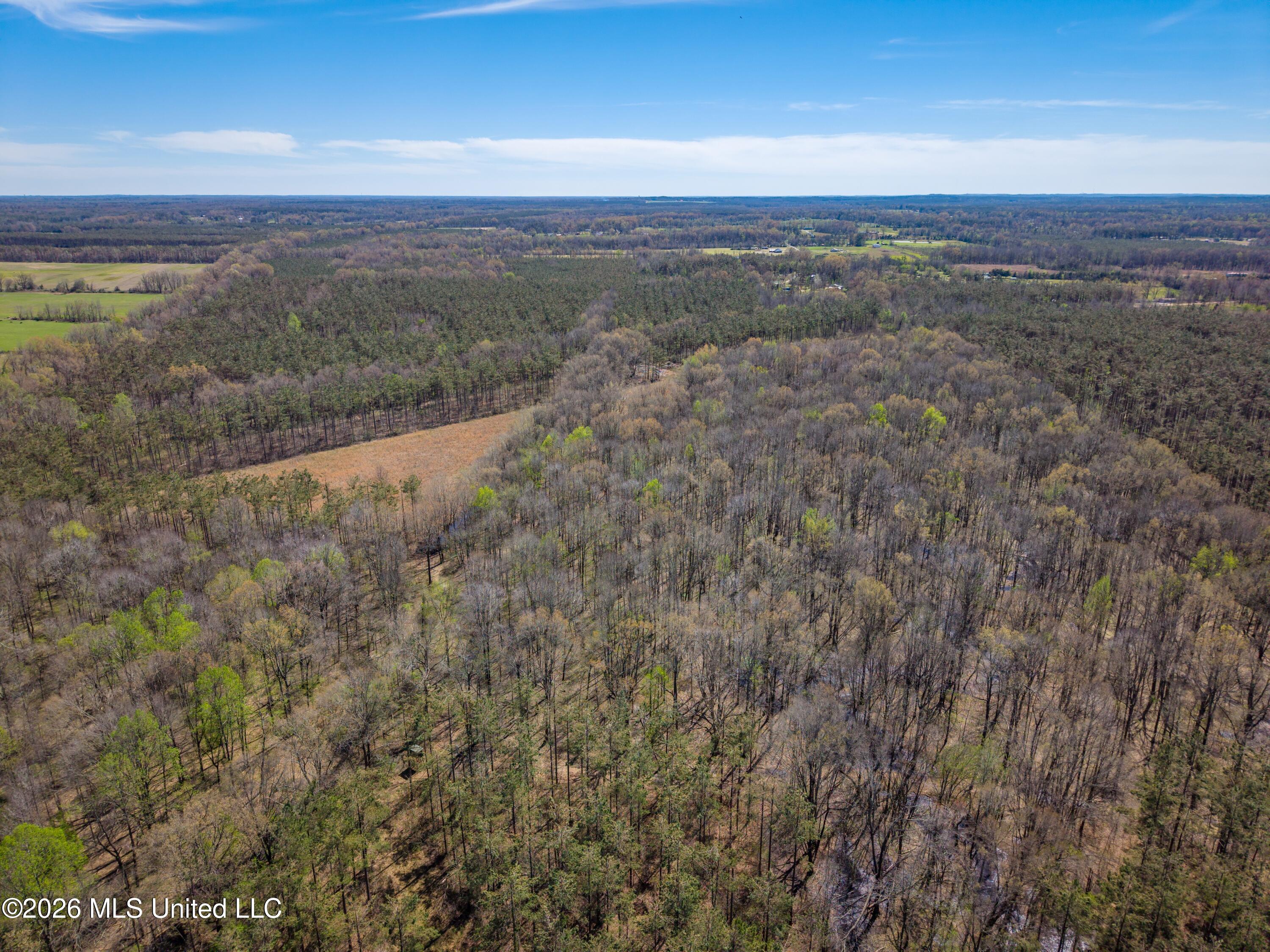 Wise Bend Road Thaxton, MS 38871 - Photo 7 of 22 7