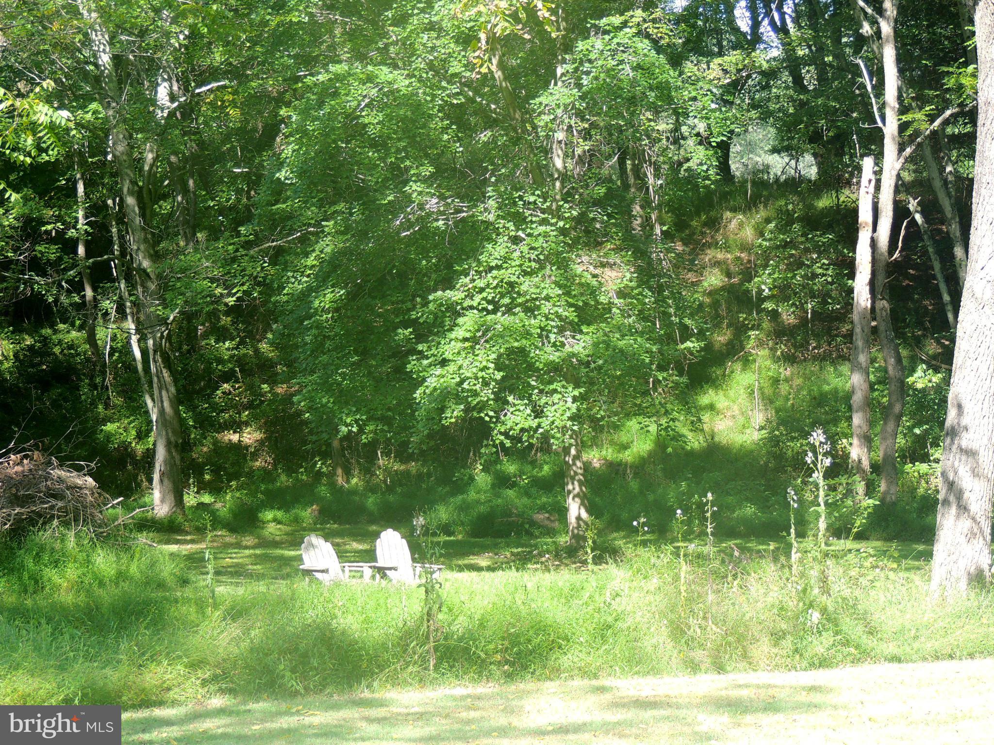 1316 Watervale Road Fallston, MD 21047 - Photo 21 of 30 a view of a lush green space