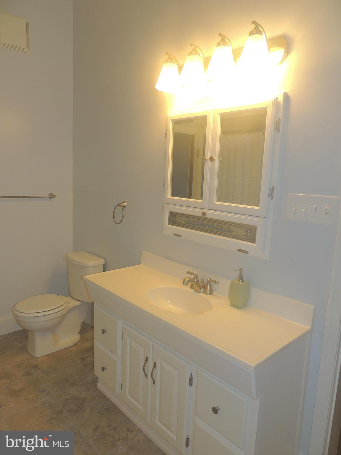 1316 Watervale Road Fallston, MD 21047 - Photo 22 of 30 a bathroom with a sink and a toilet