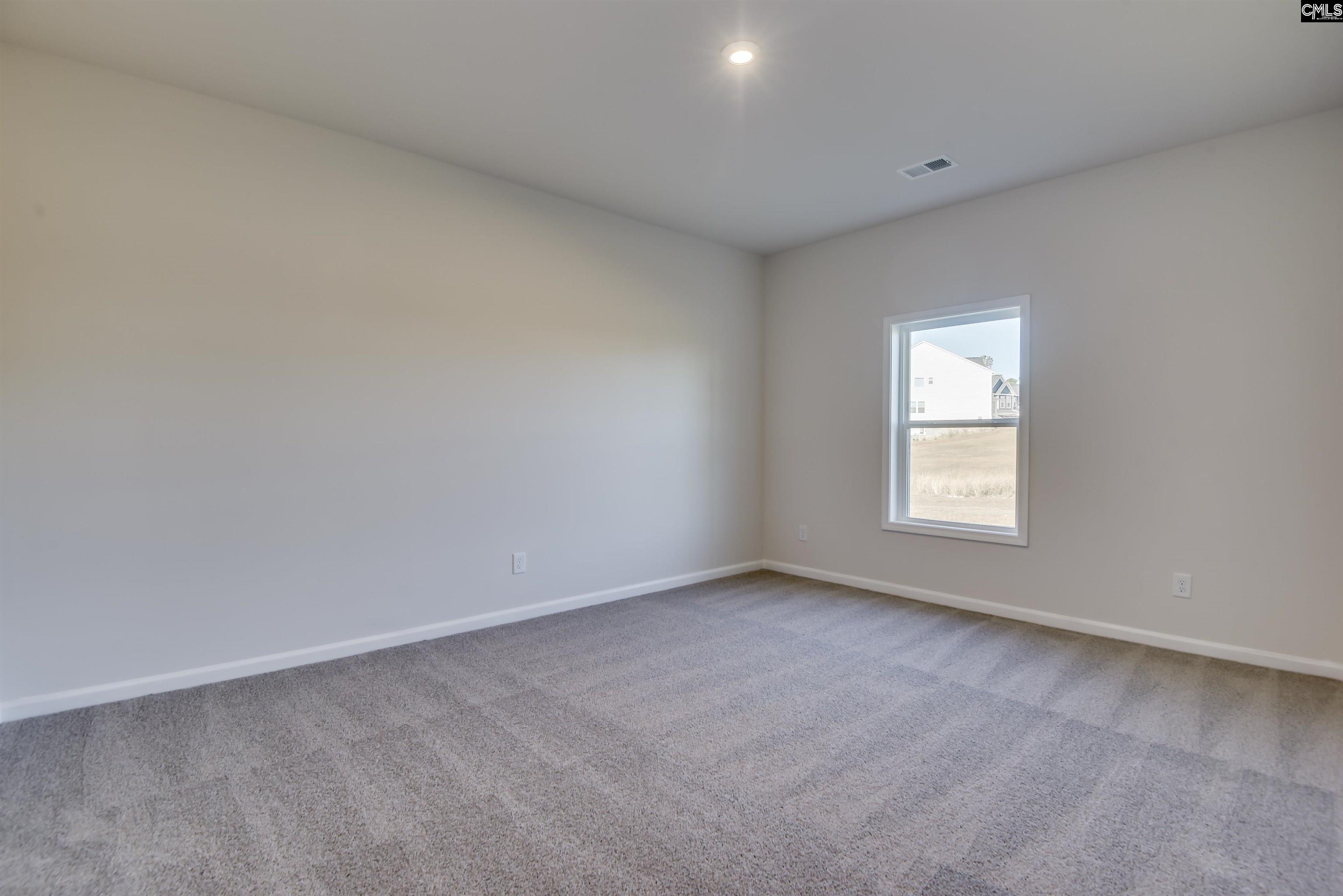 617 Basalt Court Chapin, SC 29036 - Photo 23 of 46