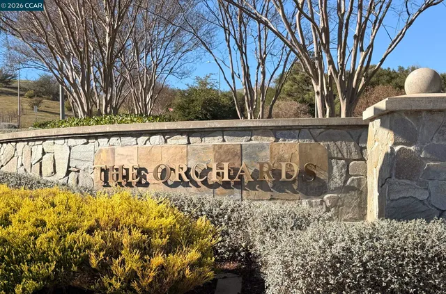 a view of a pathway with a bench under large trees